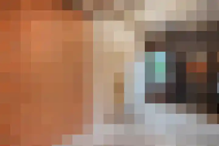 Mulertkamp 32 Zwolle thumbnail 36