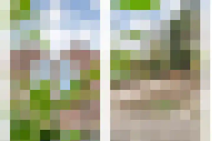 Mulertkamp 32 Zwolle thumbnail 38