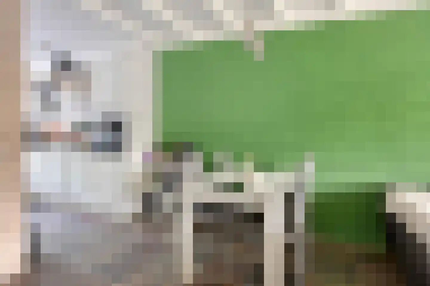 Mulgouwsingel 26 Tegelen thumbnail 11