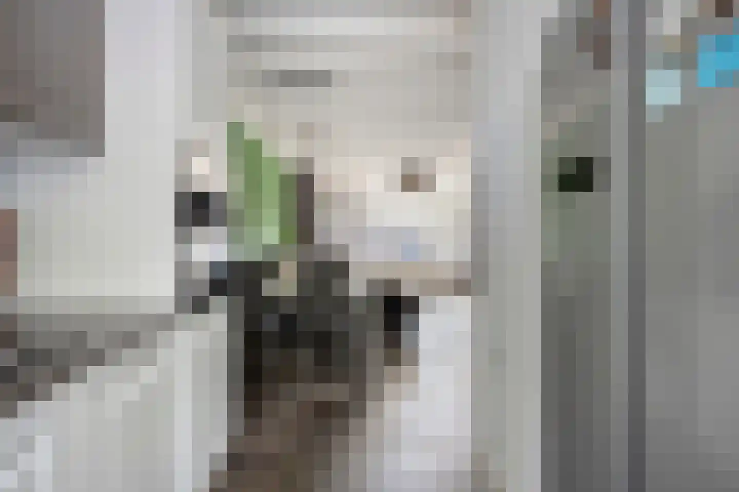 Mulgouwsingel 26 Tegelen thumbnail 13