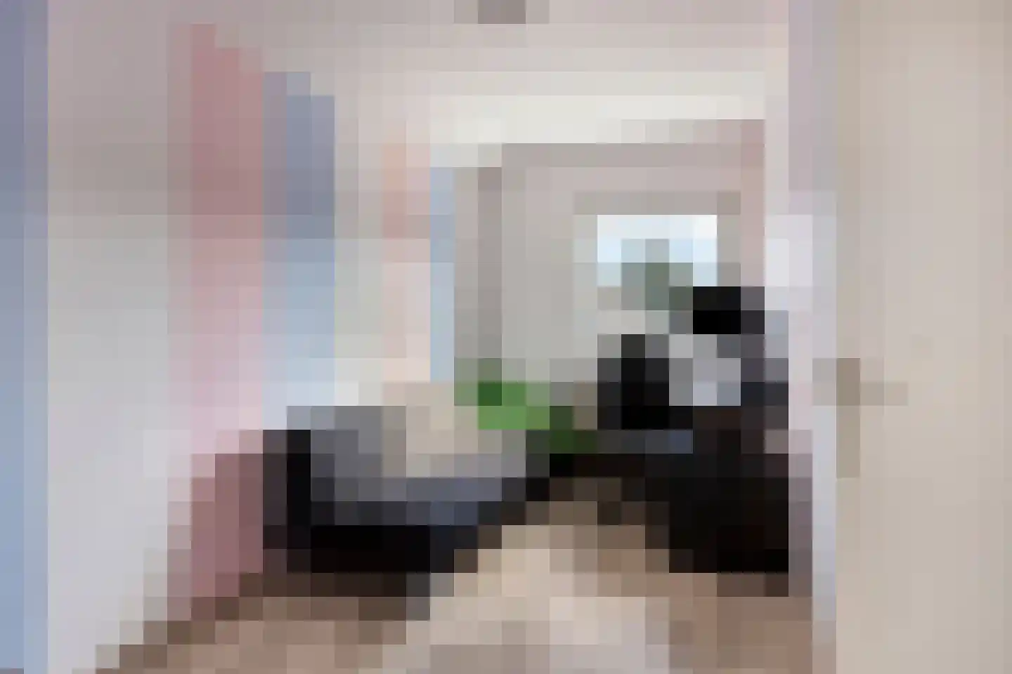 Mulgouwsingel 26 Tegelen thumbnail 20