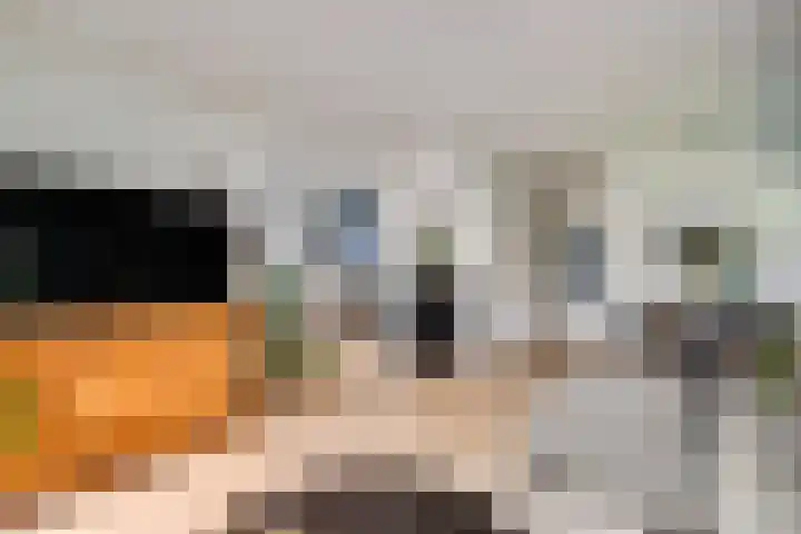 Mulgouwsingel 78 Tegelen thumbnail 13