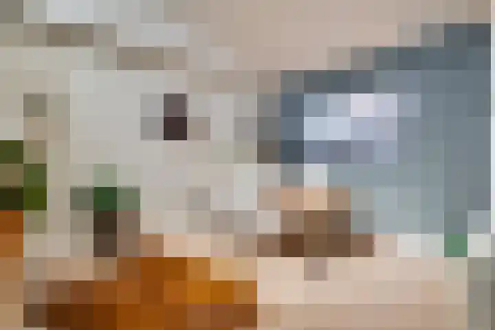 Mulgouwsingel 78 Tegelen thumbnail 14