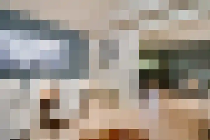 Mulgouwsingel 78 Tegelen thumbnail 16