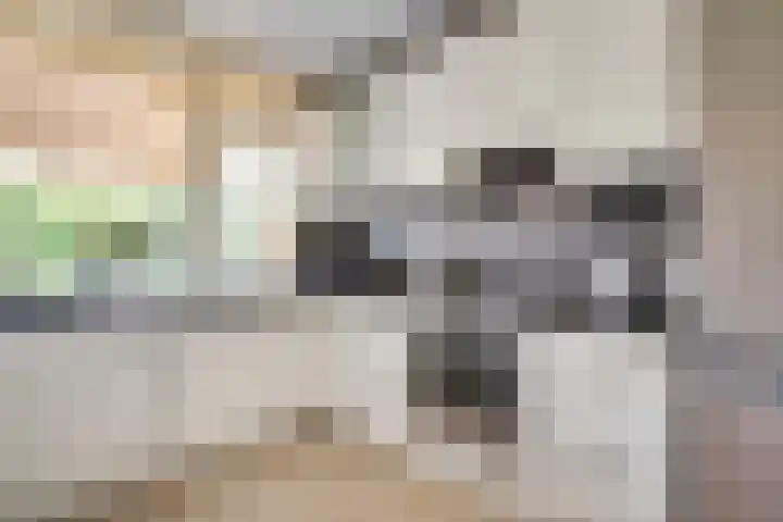 Mulgouwsingel 78 Tegelen thumbnail 17