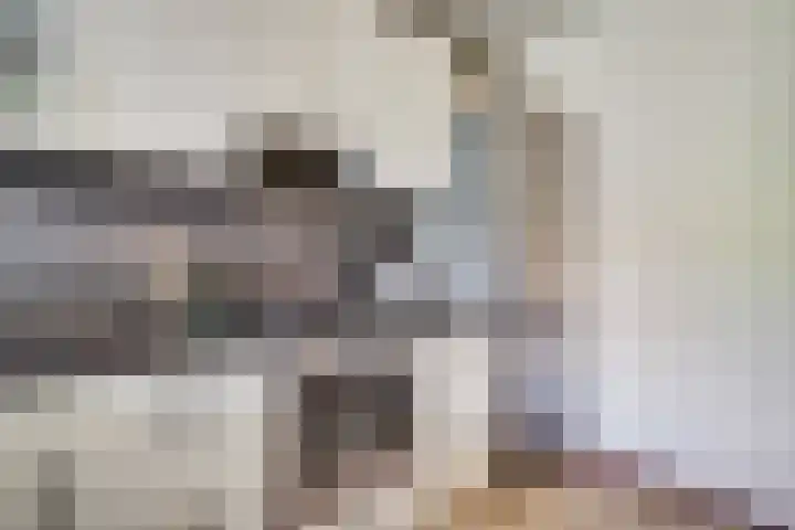 Mulgouwsingel 78 Tegelen thumbnail 18