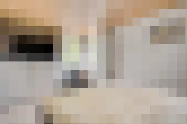 Mulgouwsingel 78 Tegelen thumbnail 23