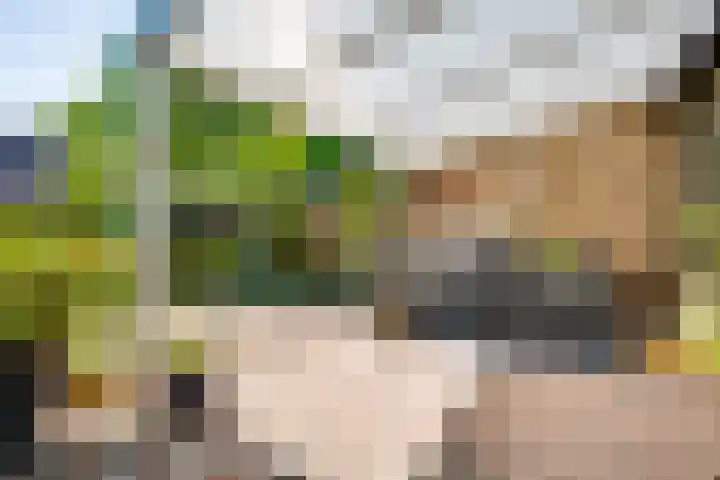 Mulgouwsingel 78 Tegelen thumbnail 31