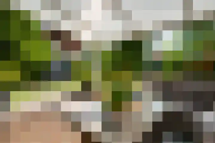Mulgouwsingel 78 Tegelen thumbnail 32