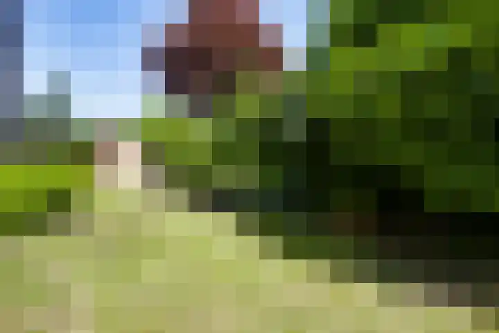 Mulgouwsingel 78 Tegelen thumbnail 33