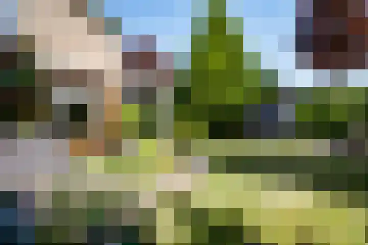 Mulgouwsingel 78 Tegelen thumbnail 34