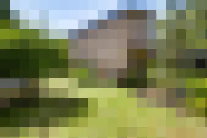 Mulgouwsingel 78 Tegelen thumbnail 35