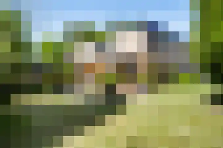 Mulgouwsingel 78 Tegelen thumbnail 37