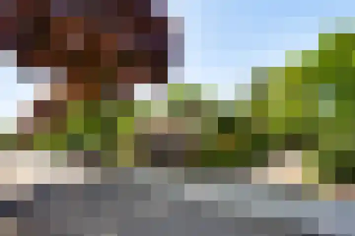 Mulgouwsingel 78 Tegelen thumbnail 4