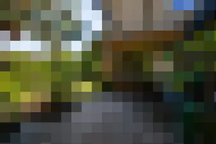 Mulgouwsingel 78 Tegelen thumbnail 5