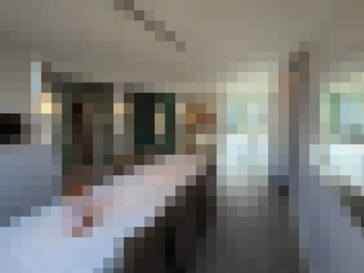 Mulhouselaan 10 Eindhoven thumbnail 4