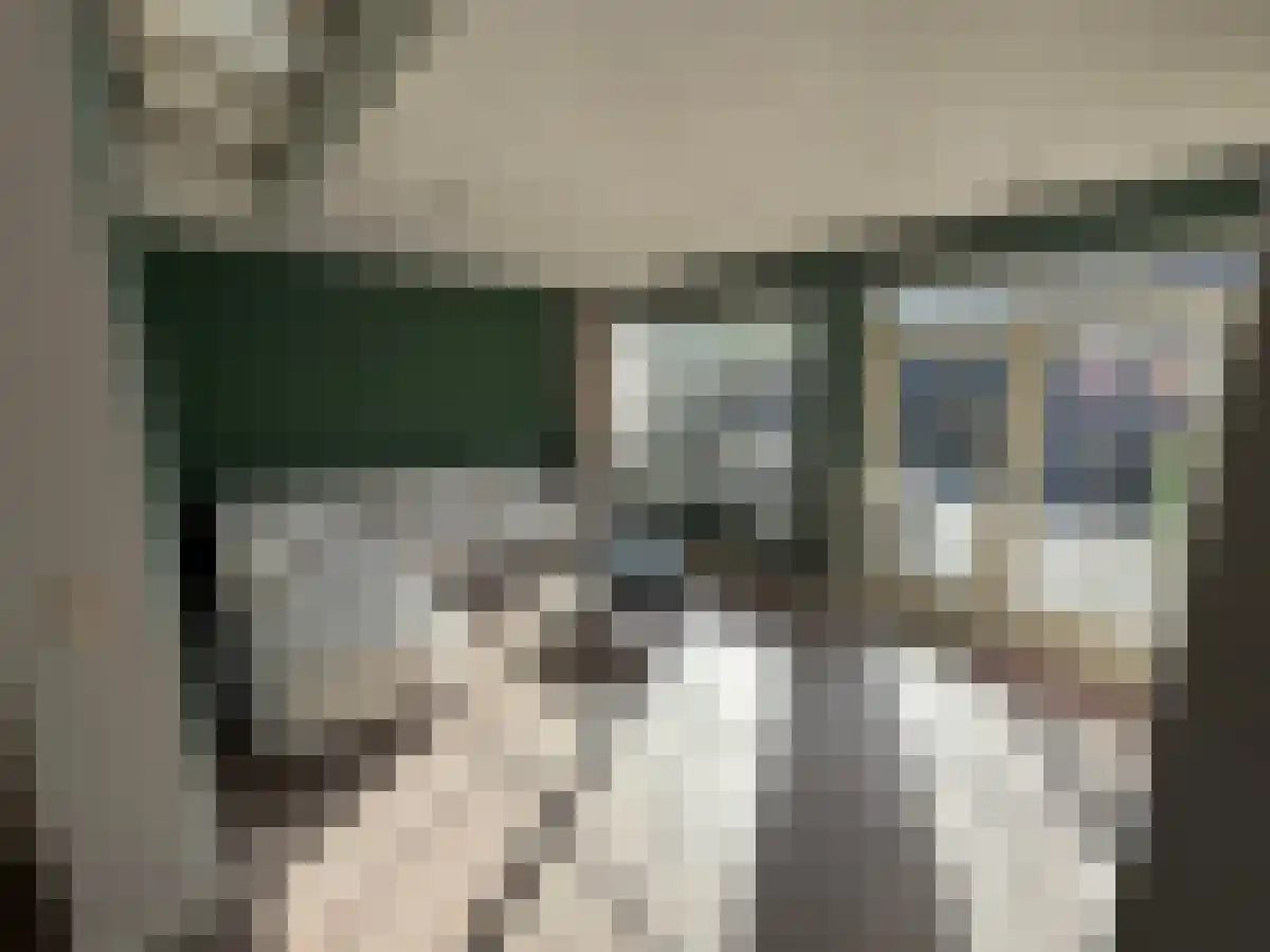 Mulhouselaan 10 Eindhoven thumbnail 6