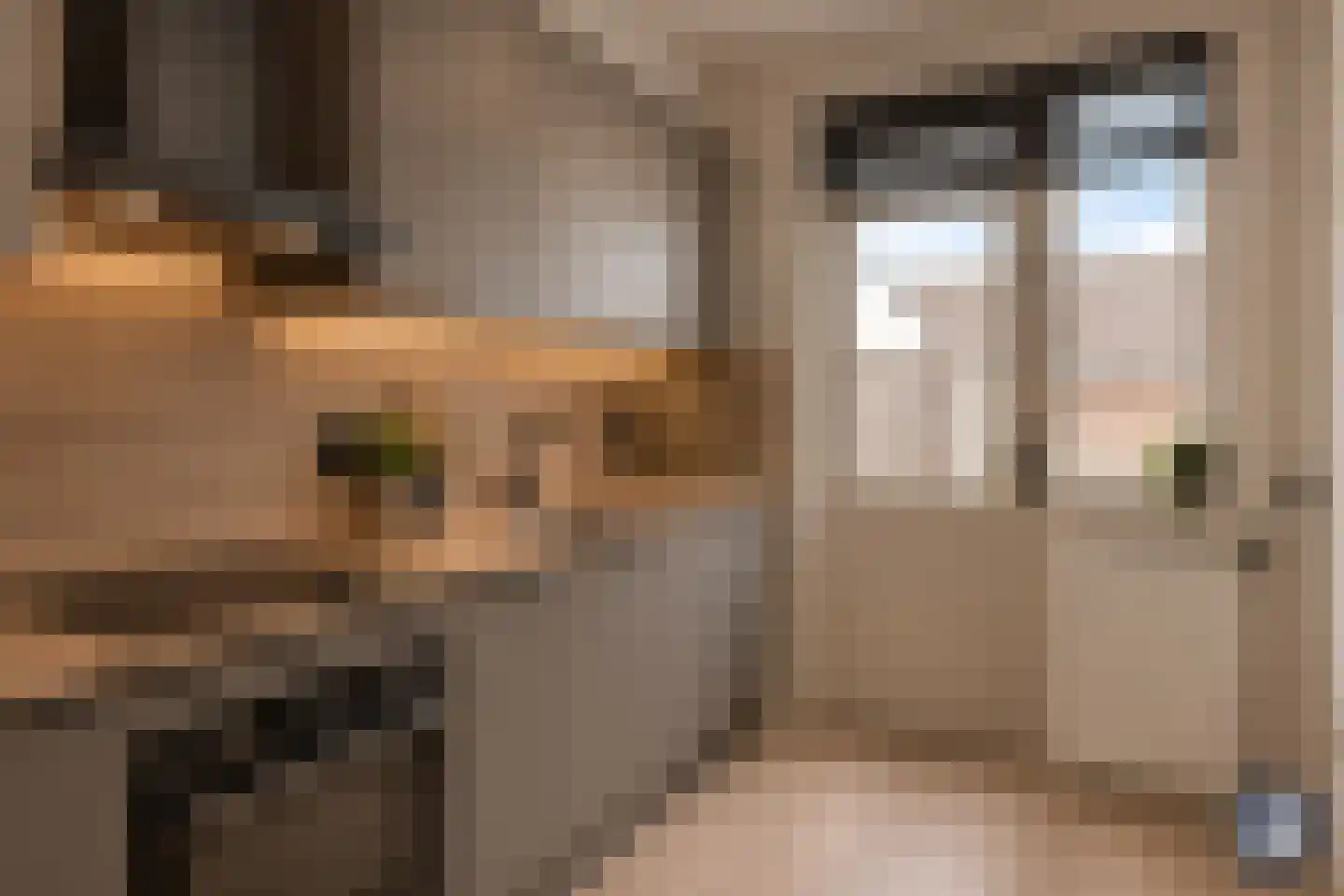 Mulhouselaan 14 Eindhoven thumbnail 17
