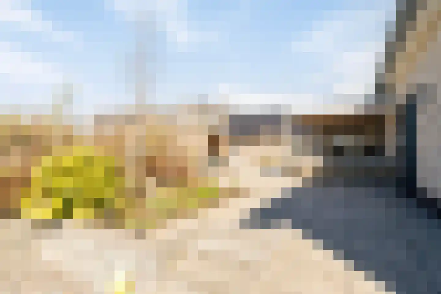 Mullemsedijk 12 e Stevensbeek thumbnail 57