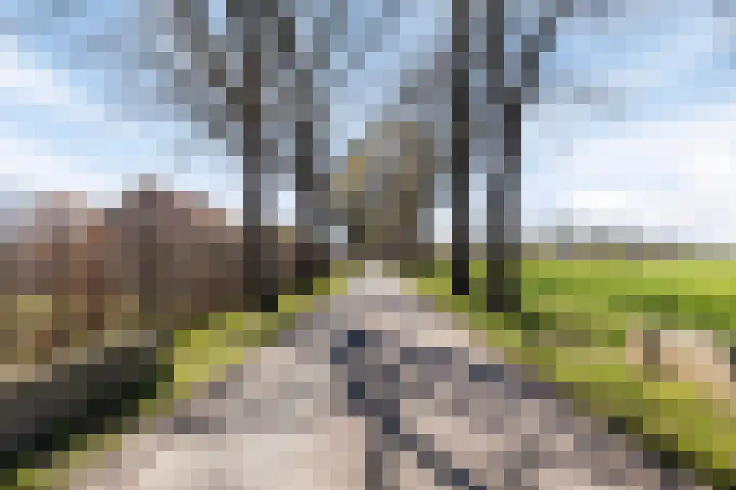 Mullemsedijk 12 e Stevensbeek thumbnail 63