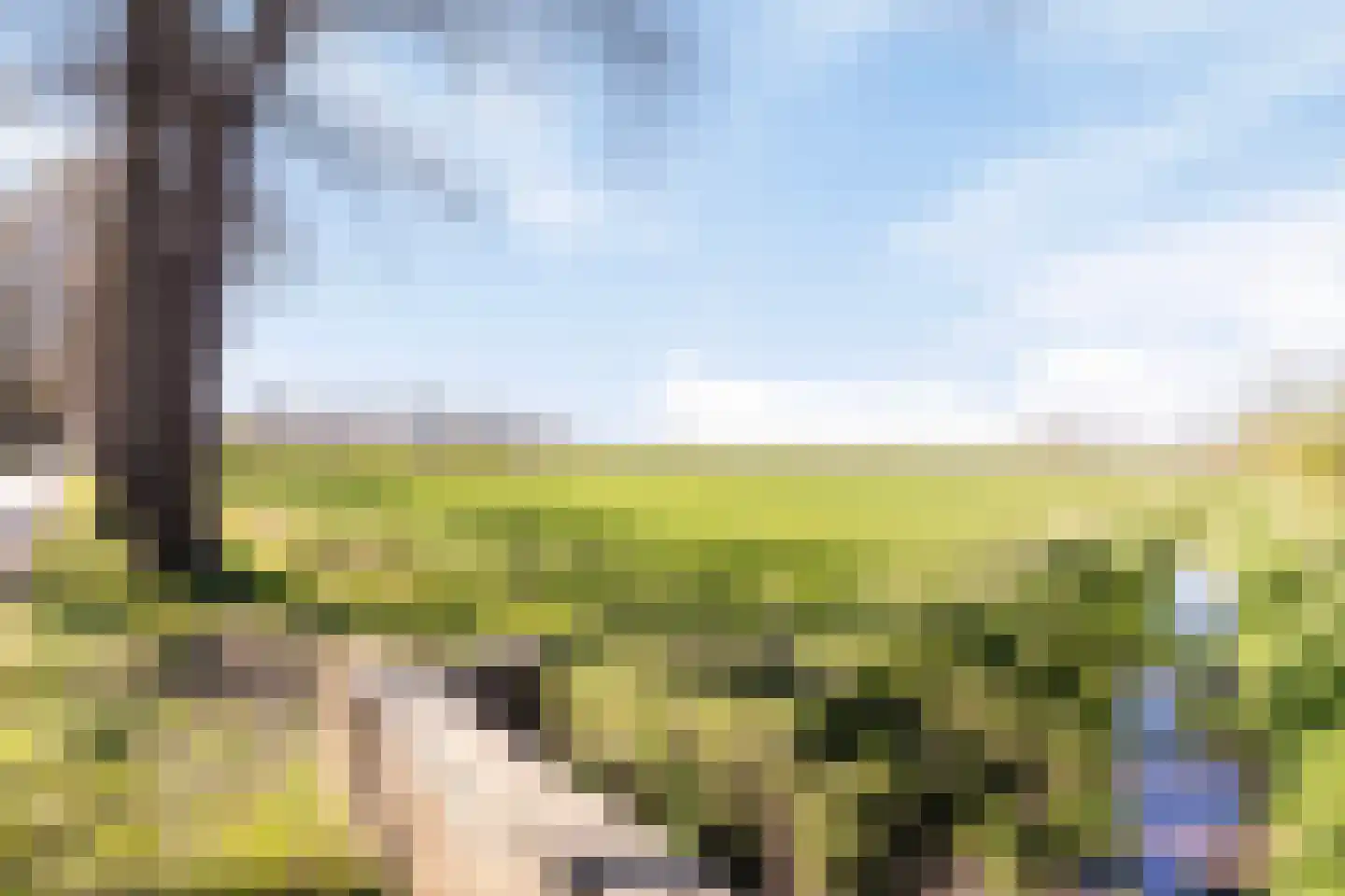 Mullemsedijk 12 e Stevensbeek thumbnail 64