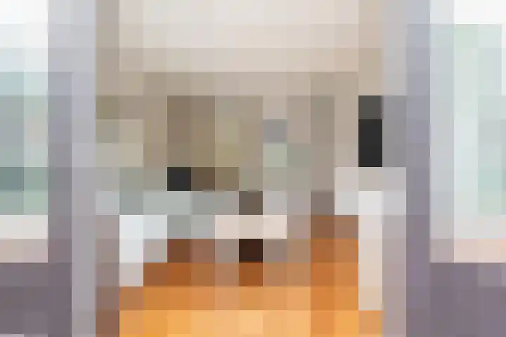 Mullensstrook 13 Zoetermeer thumbnail 10