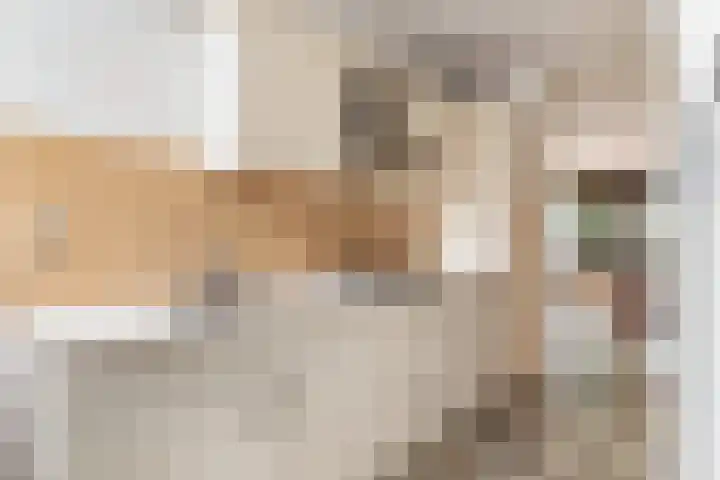 Mullensstrook 13 Zoetermeer thumbnail 13