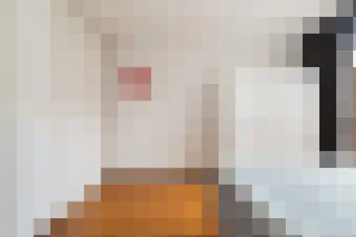 Mullensstrook 13 Zoetermeer thumbnail 19