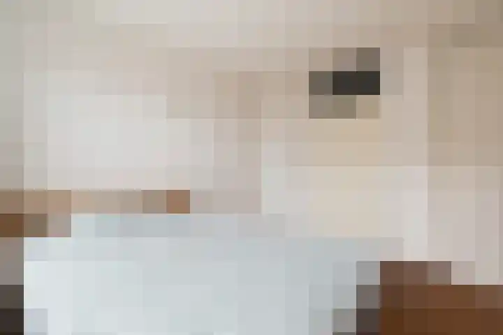 Mullensstrook 13 Zoetermeer thumbnail 20
