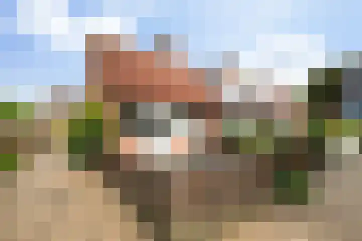 Mullensstrook 13 Zoetermeer thumbnail 33