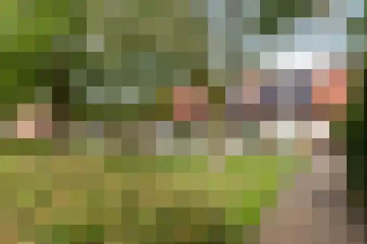 Mullensstrook 13 Zoetermeer thumbnail 37