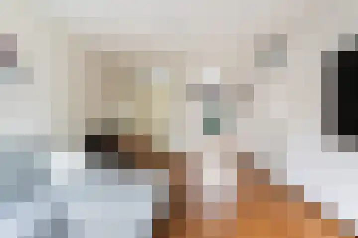 Mullensstrook 13 Zoetermeer thumbnail 8