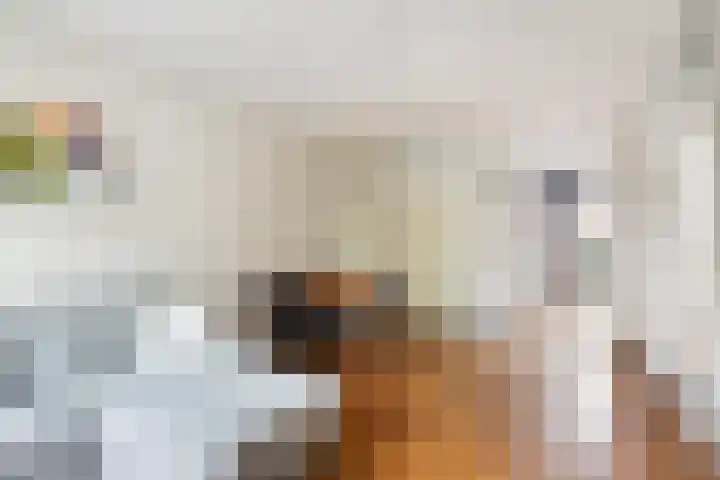 Mullensstrook 13 Zoetermeer thumbnail 9