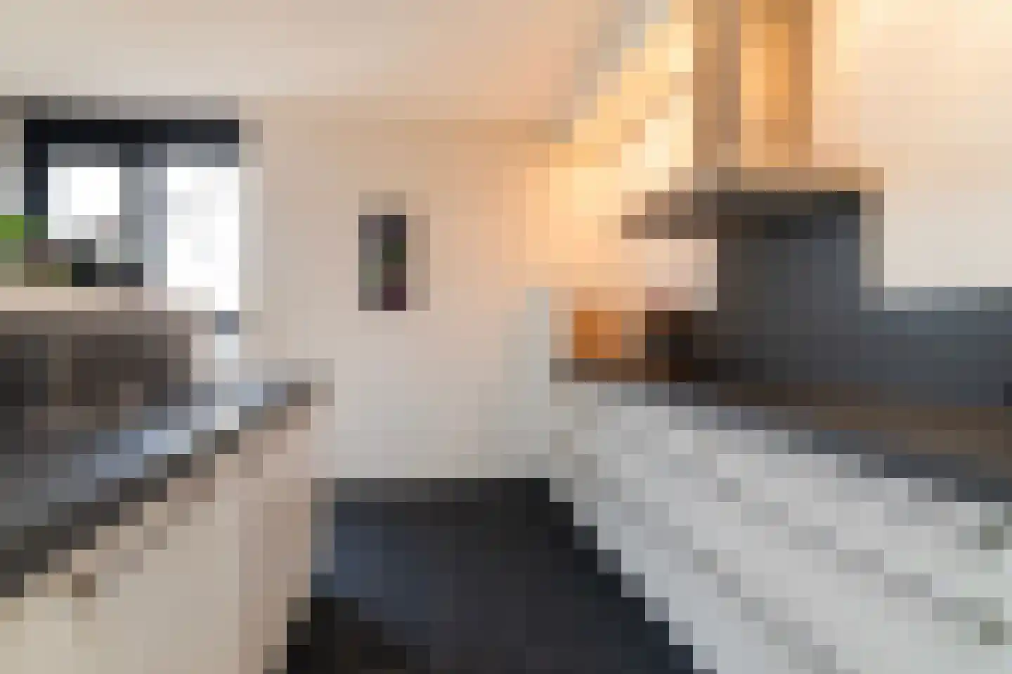 Müllerkade 227 Rotterdam thumbnail 18