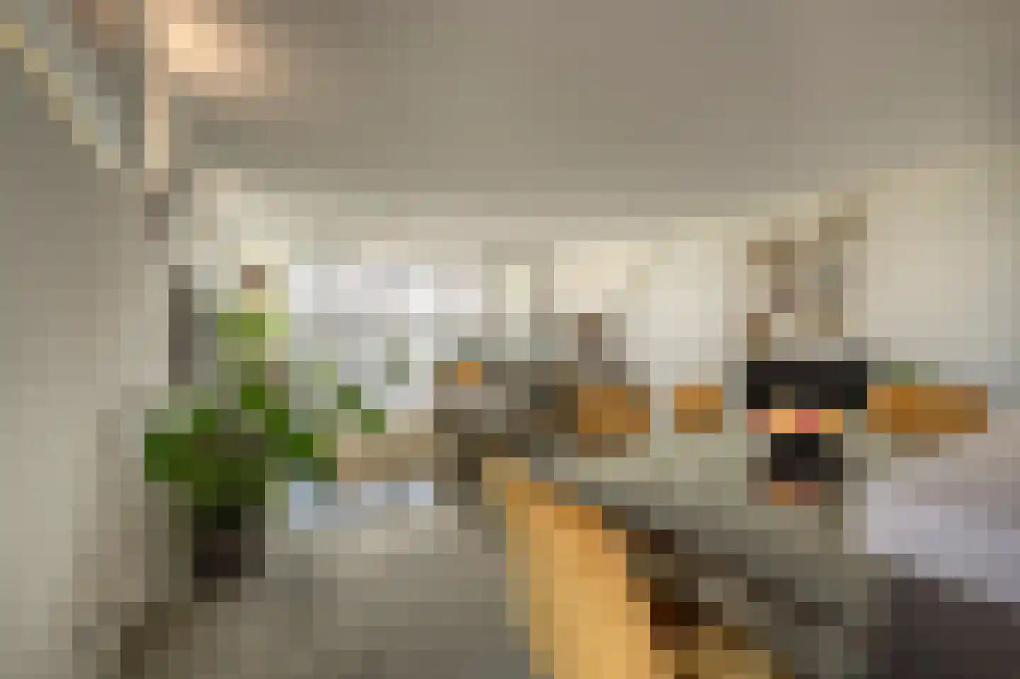 Müllerkade 241 Rotterdam thumbnail 11