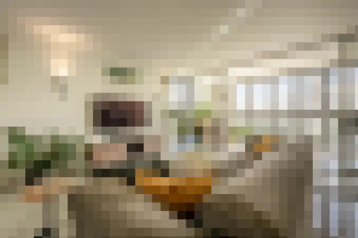Müllerkade 241 Rotterdam thumbnail 5