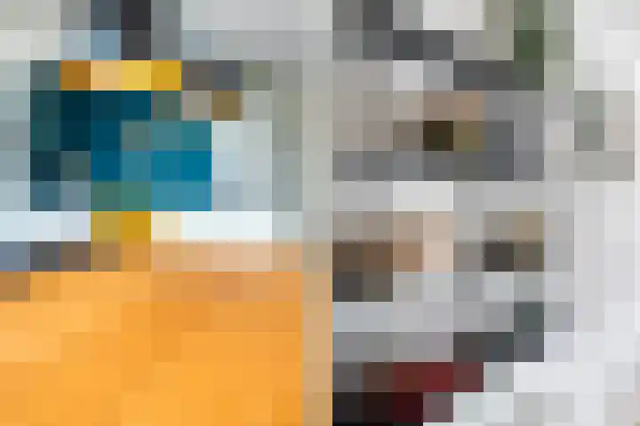 Müllerkade 397 Rotterdam thumbnail 13