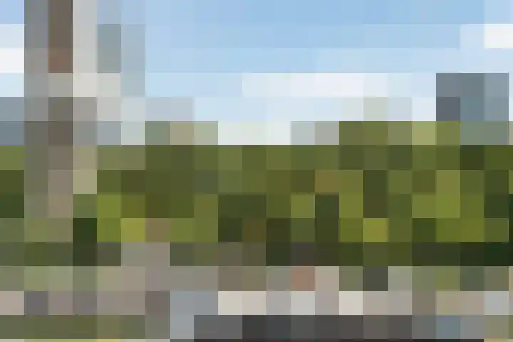 Müllerkade 397 Rotterdam thumbnail 38