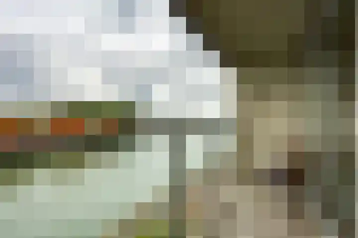 Müllerkade 437 Rotterdam thumbnail 19