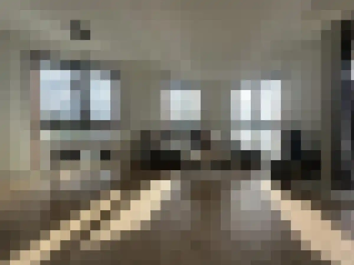 Müllerkade 527 Rotterdam thumbnail 5