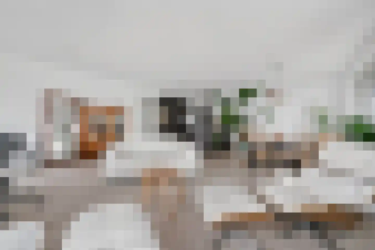 Müllerkade 667 Rotterdam thumbnail 14