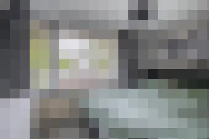 Mullerlaan 102 Veldhoven thumbnail 23