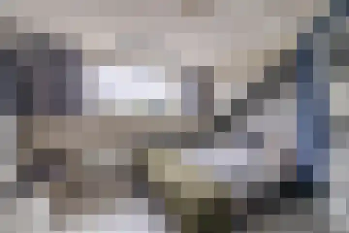 Mullerlaan 102 Veldhoven thumbnail 34