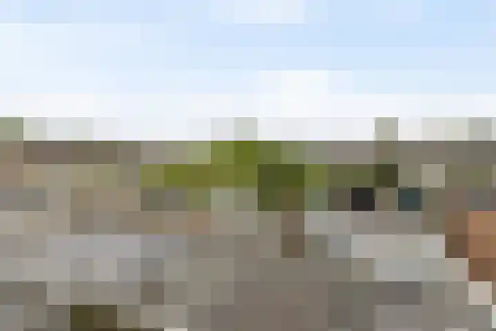 Mullerlaan 102 Veldhoven thumbnail 36