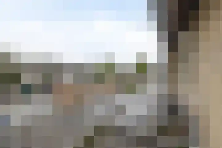 Mullerlaan 102 Veldhoven thumbnail 37