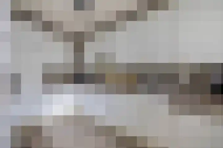 Mullerlaan 102 Veldhoven thumbnail 4