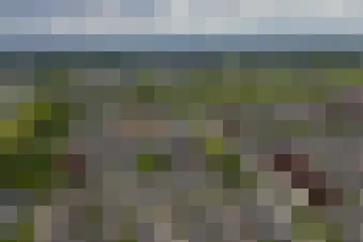 Mullerlaan 102 Veldhoven thumbnail 45