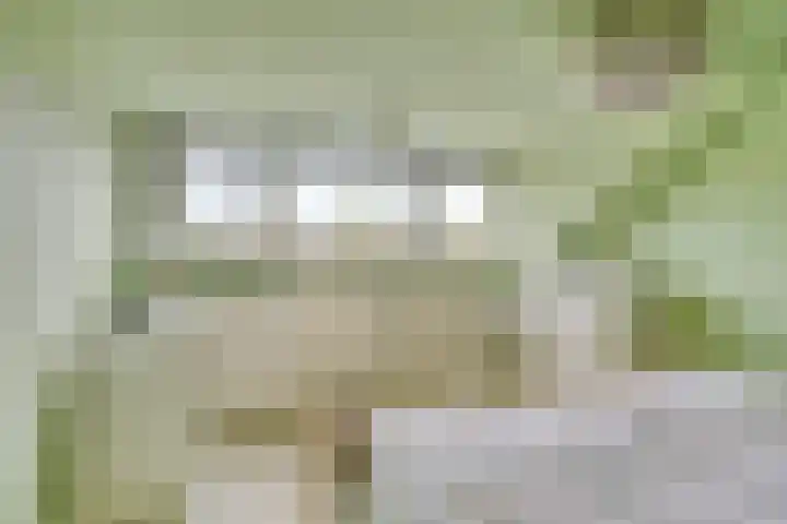 Mullerlaan 106 Veldhoven thumbnail 23
