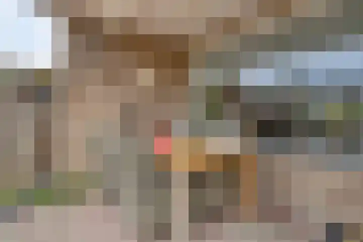 Mullerlaan 106 Veldhoven thumbnail 27