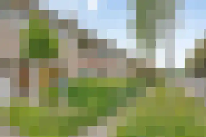 Mullerlaan 106 Veldhoven thumbnail 31